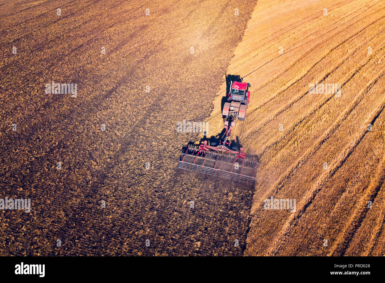Machine agricole la récolte dans les champs. Le tracteur tire sur un mécanisme pour la fenaison. La récolte en automne le matin à l'aube. de l'agrobusiness en t Banque D'Images