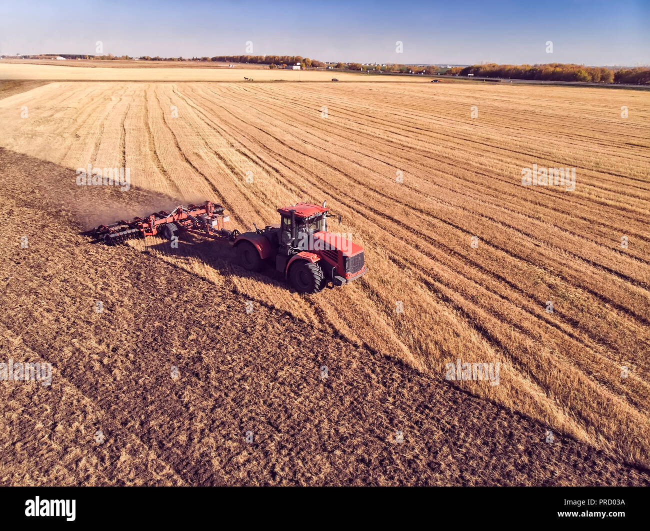 Tracteur travaillant dans les champs, vue aérienne. Le foin sur le terrain. La vue du sommet. Les récoltes du tracteur de l'herbe sèche. Banque D'Images