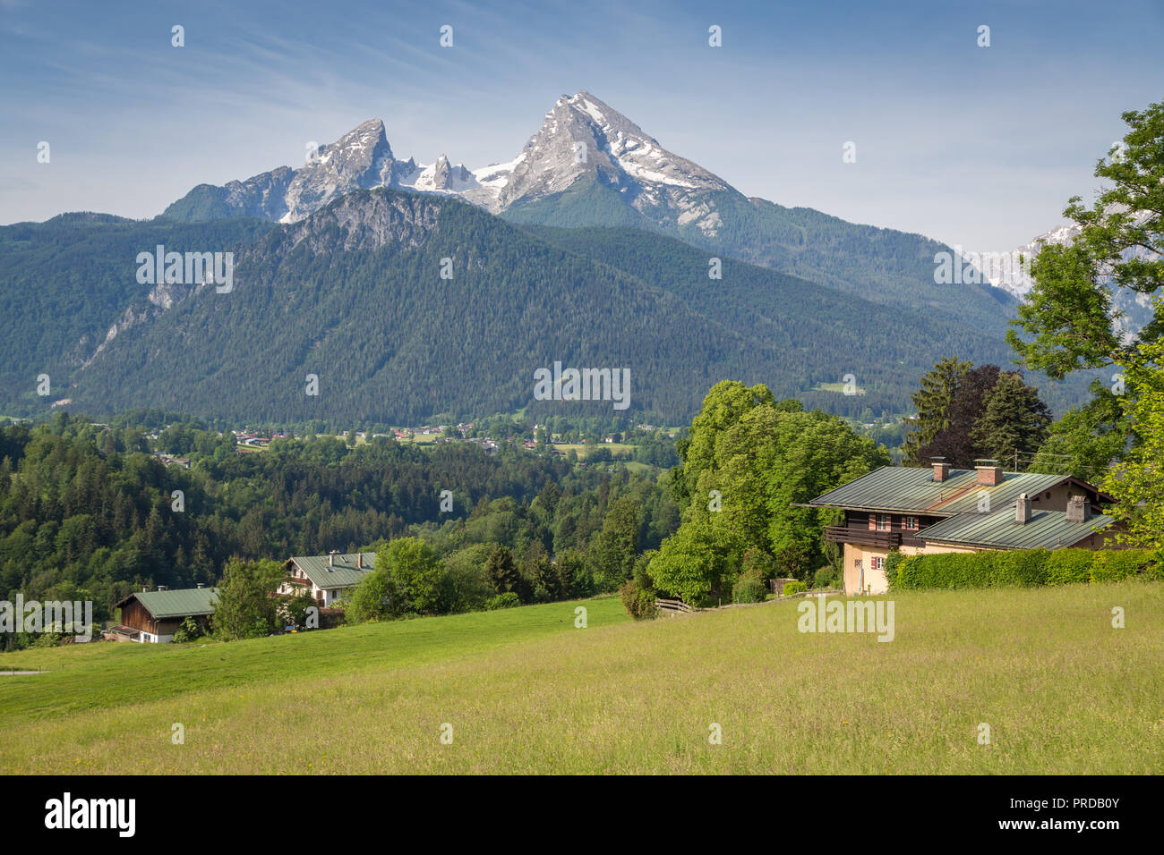 Watzmann, massif du Watzmann en face de prés alpins, Berchtesgaden-campagne, Haute-Bavière, Bavière, Allemagne Banque D'Images