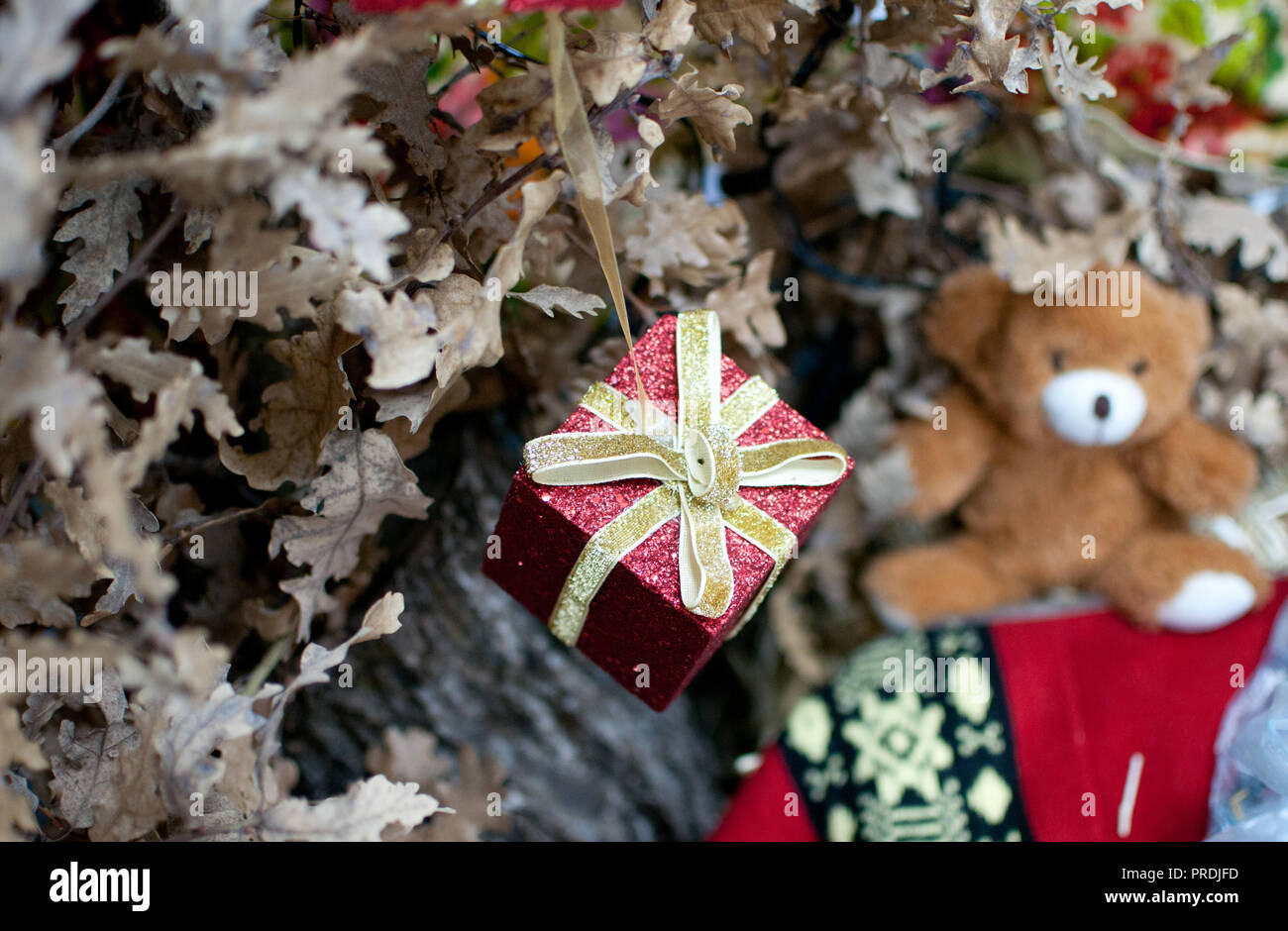 Petit cadeau décoratif rouge comme ornement sur chêne arbre de Noël  orthodoxe traditionnelle, décoration avec ours peluche en arrière-plan flou  Photo Stock - Alamy