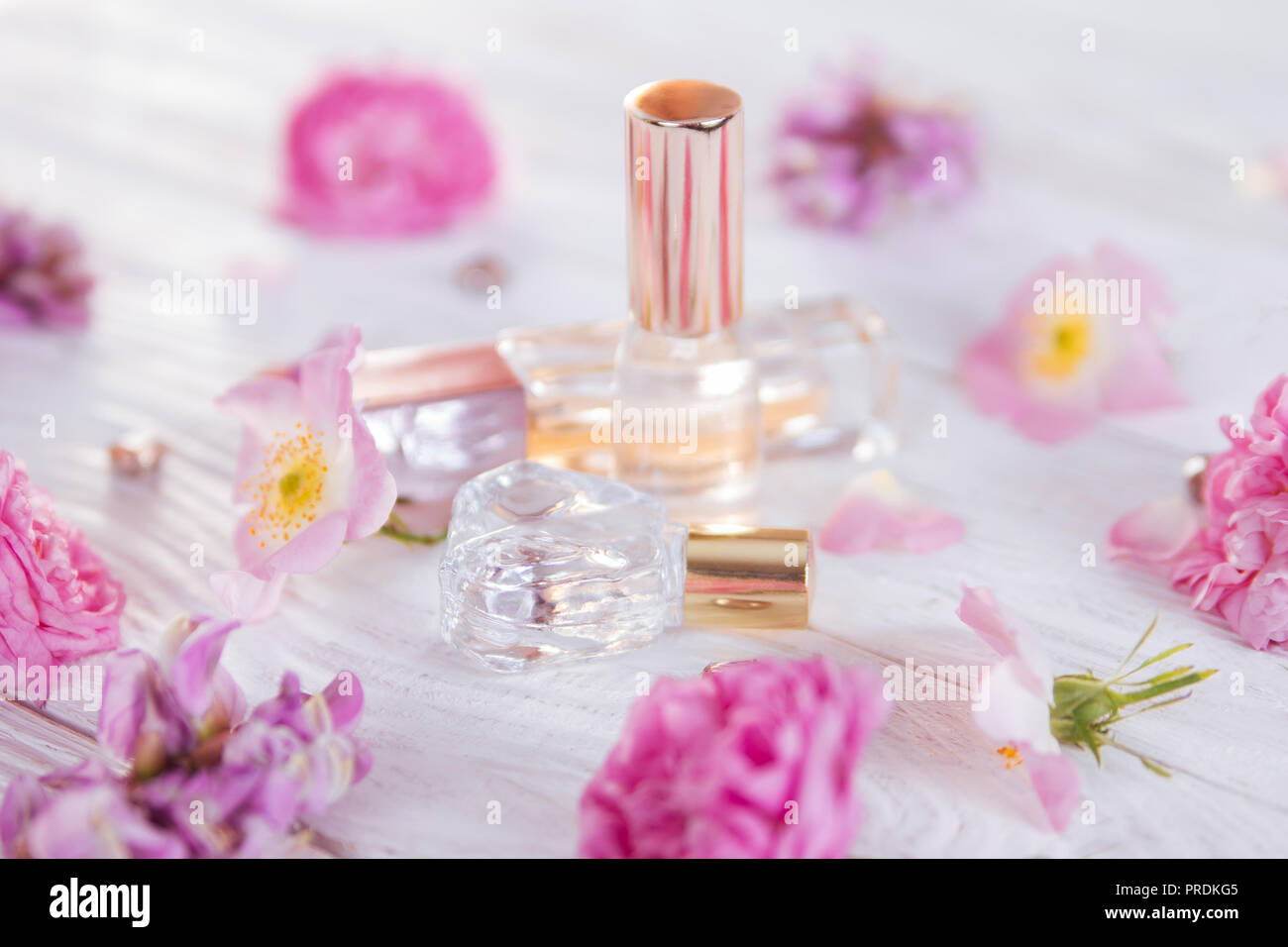 Flacons de parfum de fleurs sur fond blanc Banque D'Images