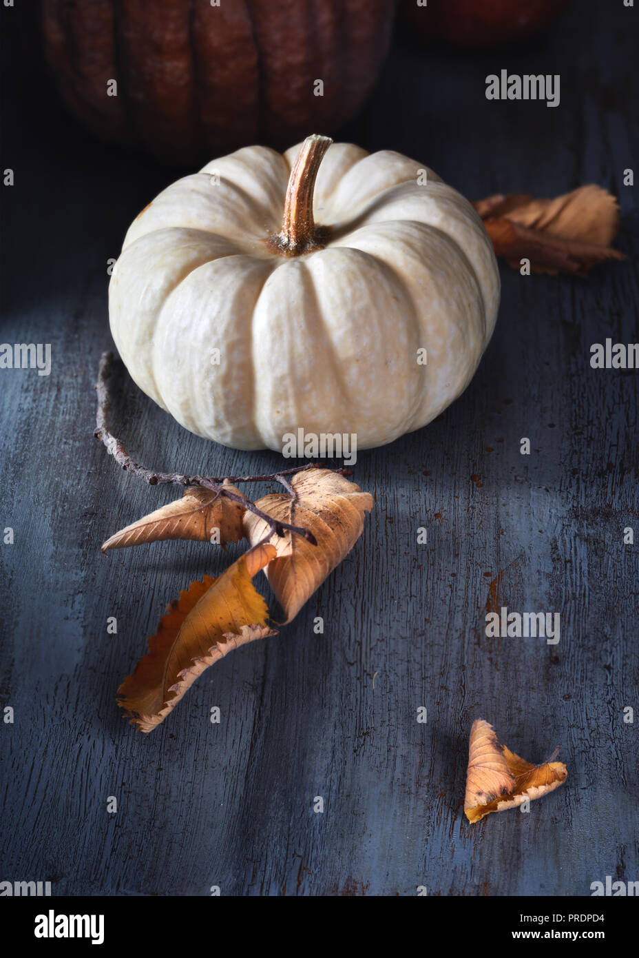 Petite citrouille décorative blanc sur fond sombre, les décorations saisonnières avec les feuilles d'automne Banque D'Images