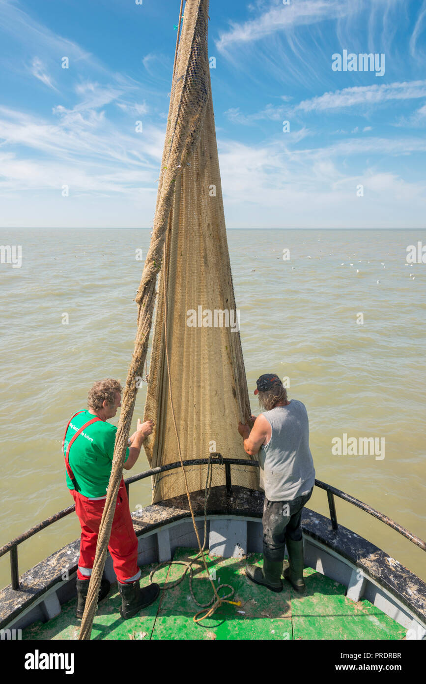 La préparation d'un pêcheur deux net glisser pour la pêche des crevettes. Banque D'Images