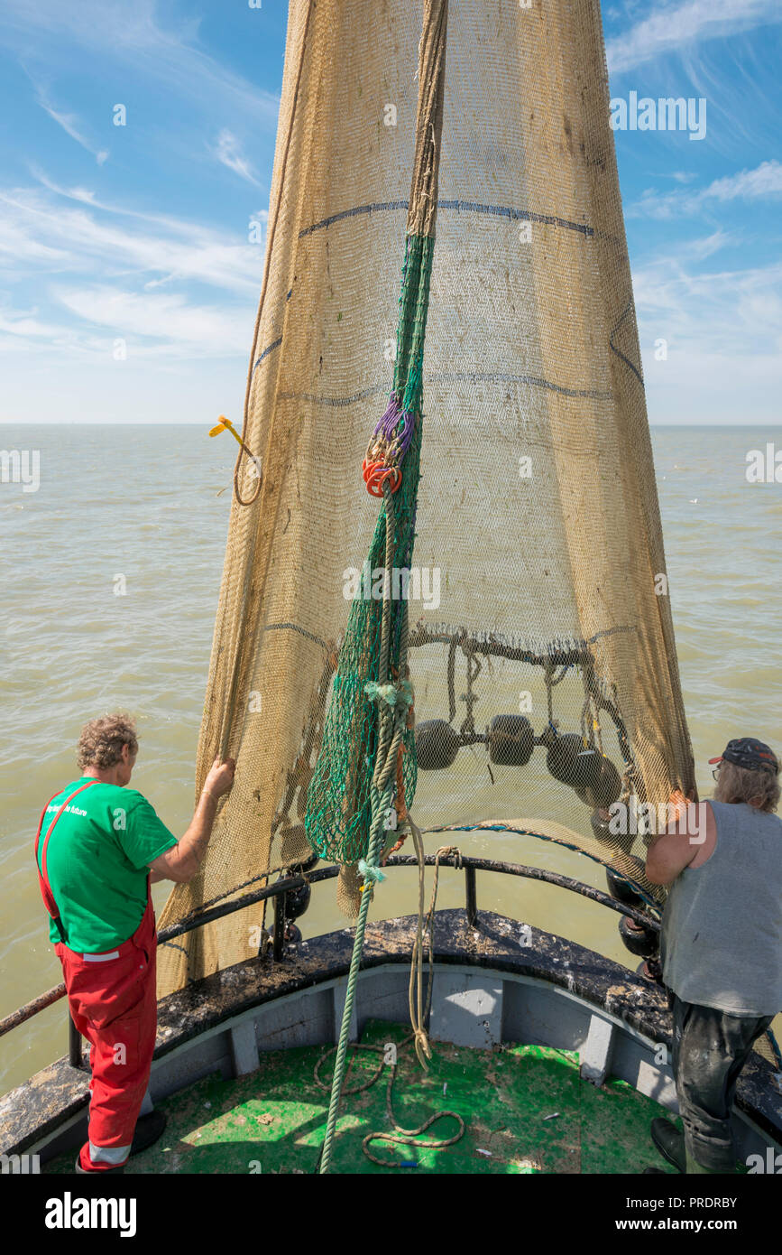 La préparation d'un pêcheur deux net glisser pour la pêche des crevettes. Banque D'Images