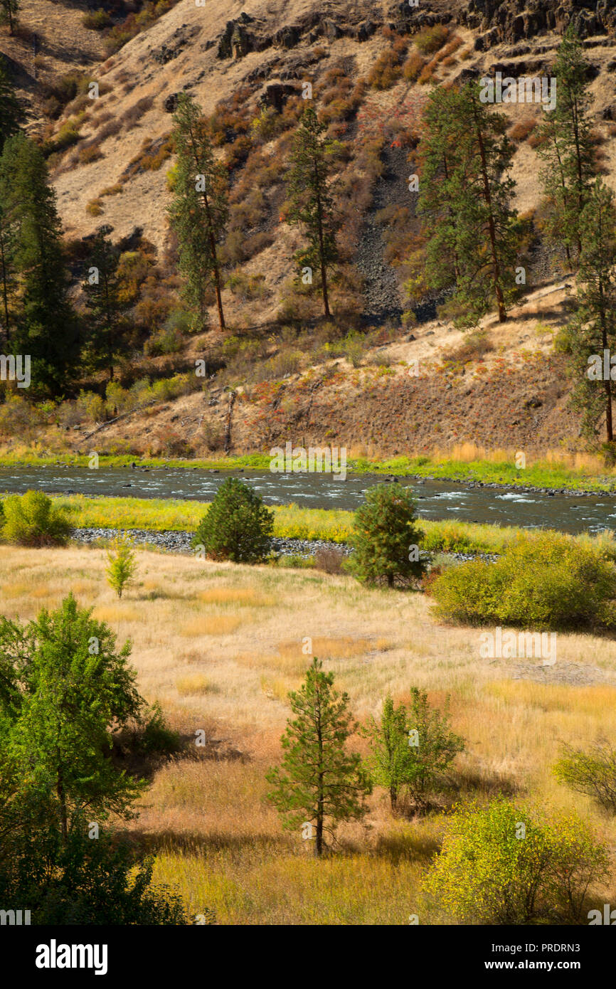 Grande Ronde, Wild and Scenic River, Wenaha de faune, de l'Oregon Banque D'Images