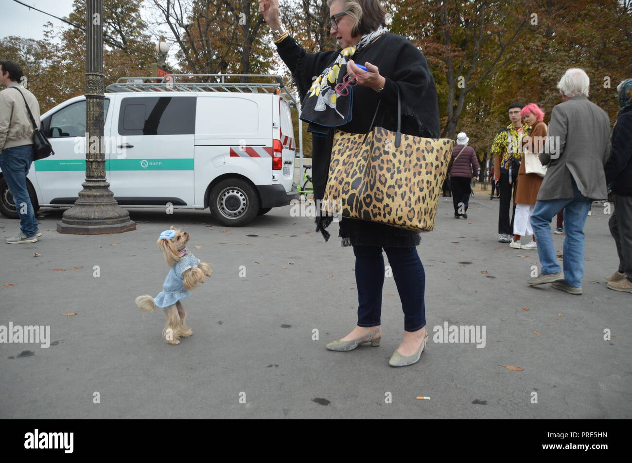 Paris, France. 2e oct, 2018. Peu de Soleil Lola, la plus célèbre rue à la mode à Yorshire Terrier chien de célébrité dans le monde. La Fashion Week de Paris 2018. Défilé Chanel. Grand Palais, Paris, France. 2 octobre 2018.10h30. Credit : Alphacit NEWIM/Alamy Live News Banque D'Images