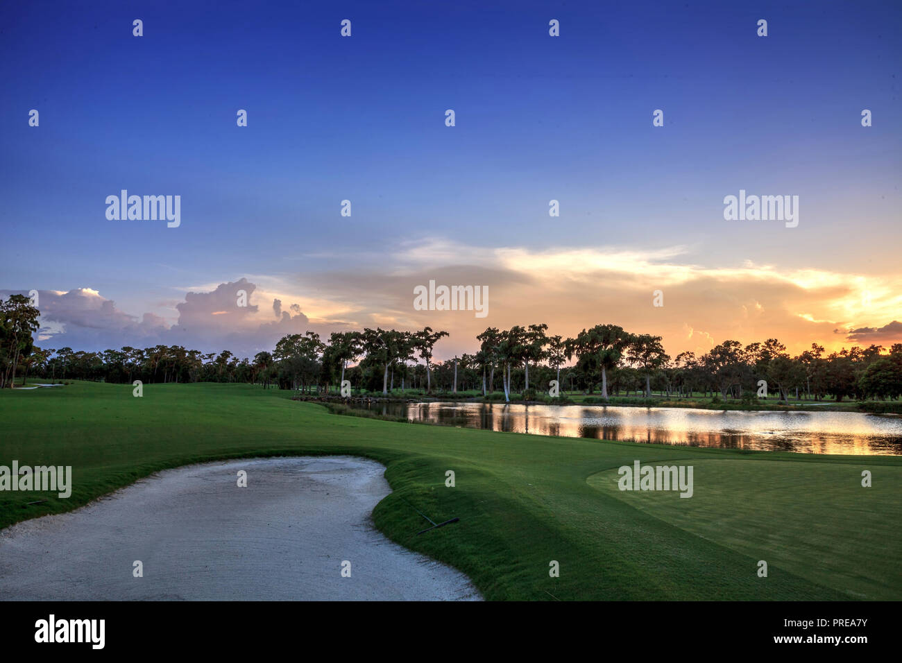 L'étang d'or au coucher du soleil à un terrain de golf sur une île tropicale, tout près d'une fosse de sable. Banque D'Images