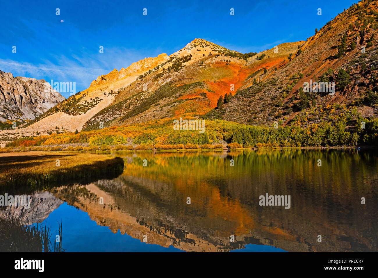 La couleur de l'automne, l'évêque de North Lake Creek Canyon, en Californie. Banque D'Images