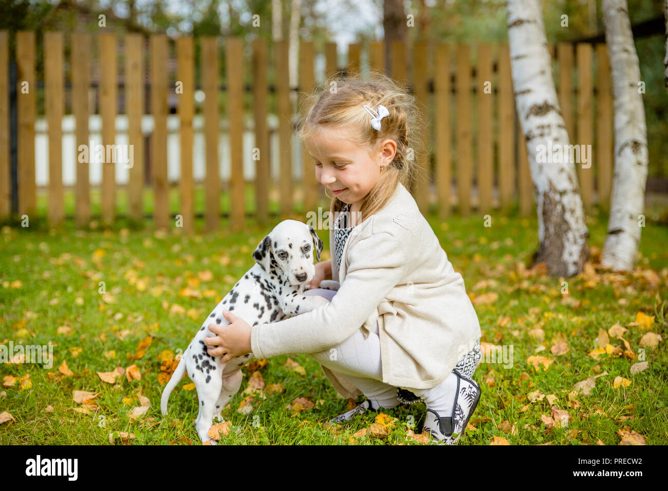 Un Mignon Petit Bebe Fille En Donnant Une Accolade A Son Chien Chiot Dalmatien Saison D Automne Dans Un Jardin Pelouse Avec Les Feuilles D Automne Dans L Arriere Plan Concept D Amour Pour La Nature Protection Des Animaux L Innocence
