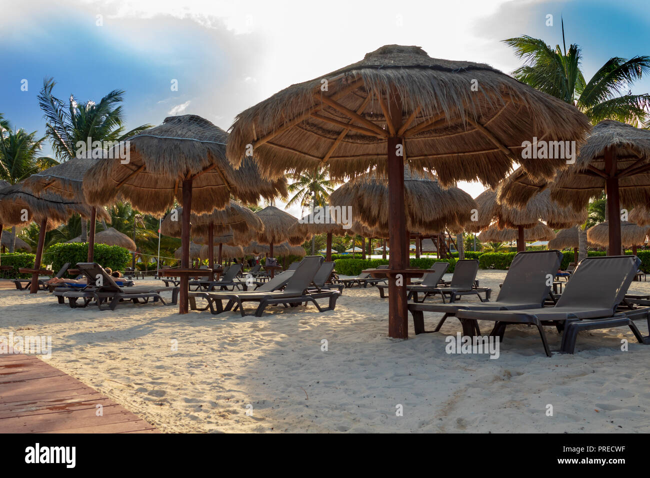 Vacances en bord de mer sont de détente. Une invitation à un salon et se prélasser au soleil qu'il est difficile de résister. Personne ne peut résister à un bon livre en lis Banque D'Images