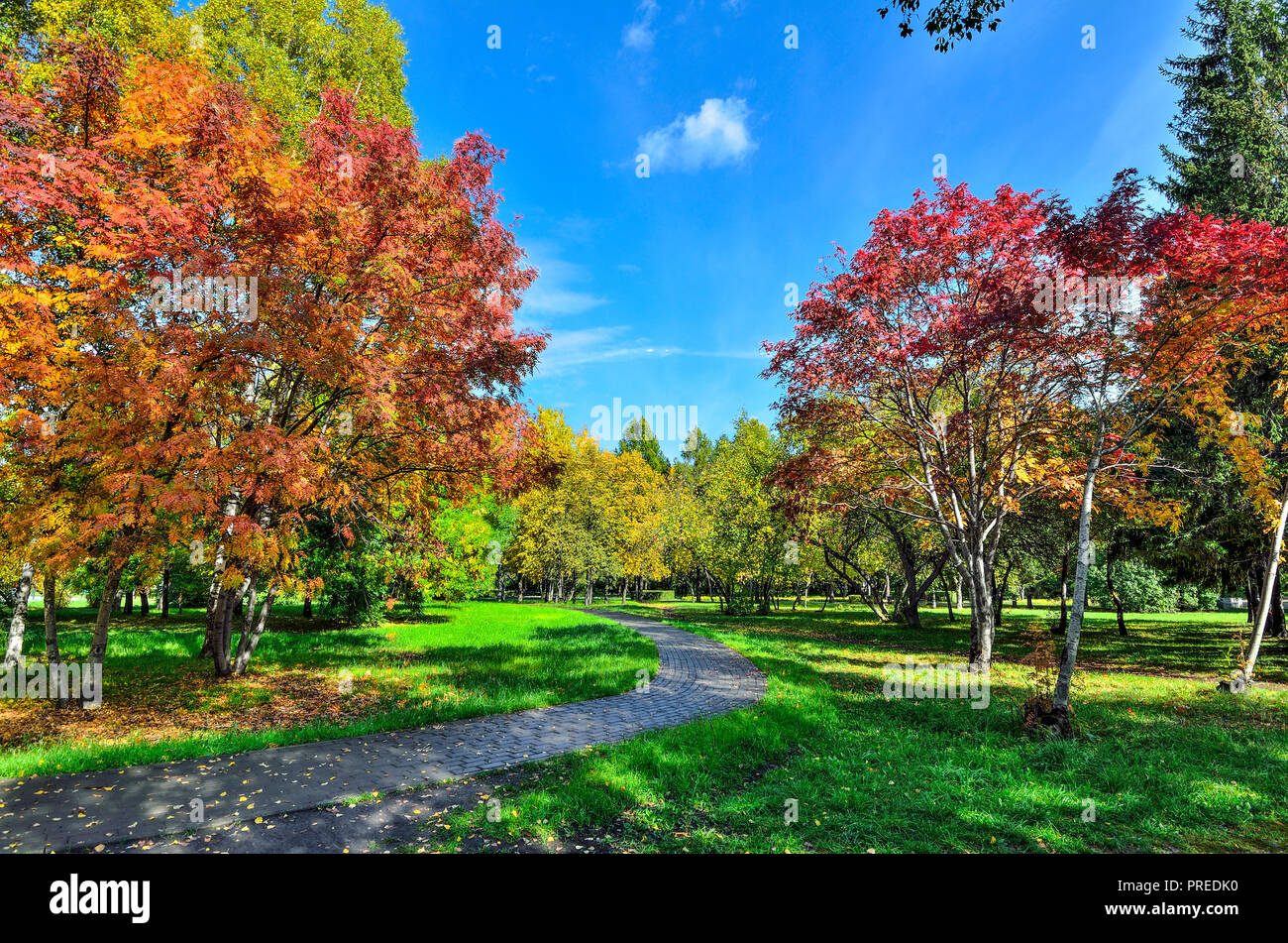 Petit coin d'automne parc de la ville avec chemin à travers les arbres avec  pelouse entre le feuillage multicolore rouge et arbres rowan - paysage  d'automne à Bright Photo Stock - Alamy