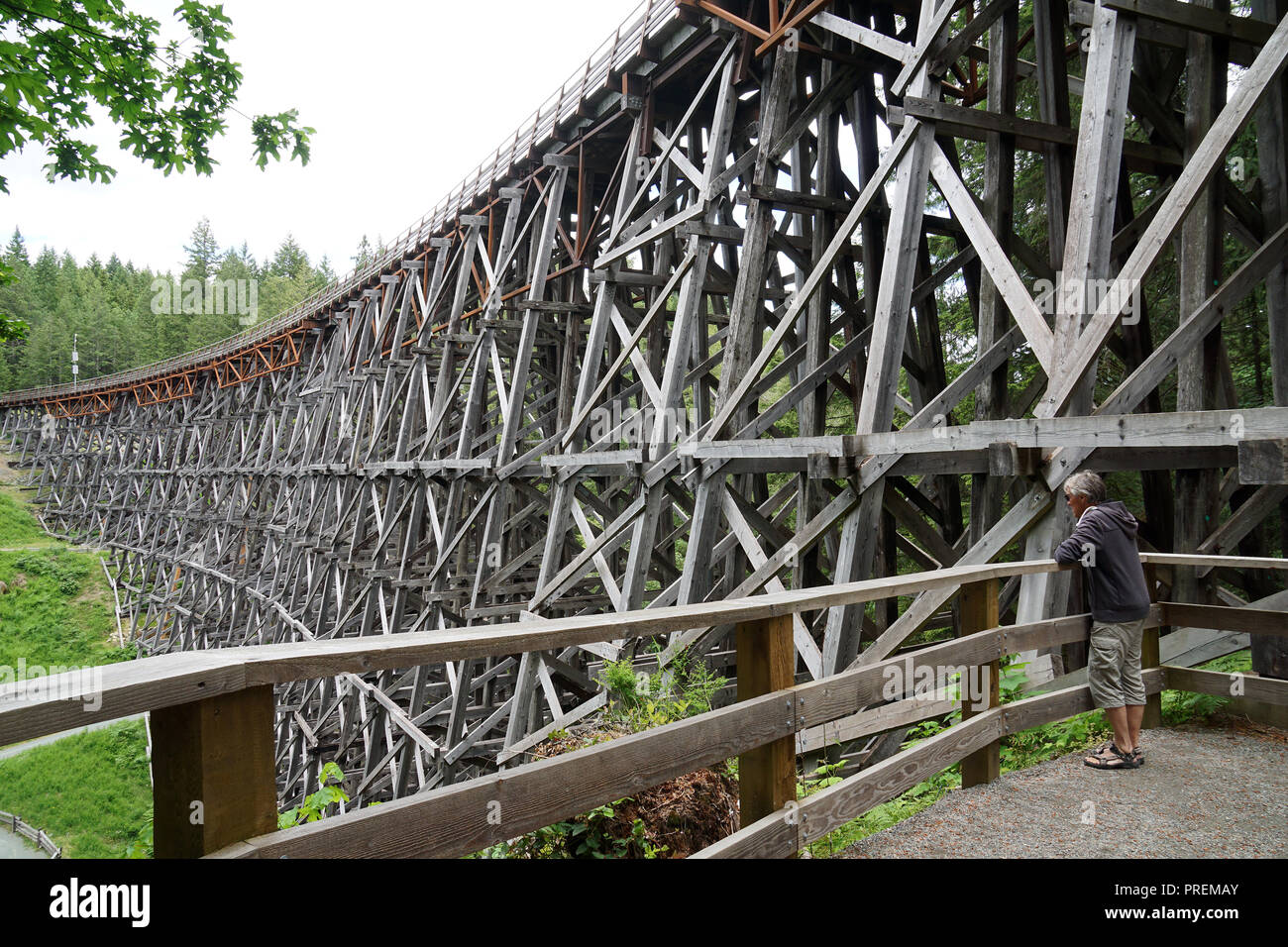 Pont sur chevalets Kinsol sur l'île de Vancouver, Canada Banque D'Images