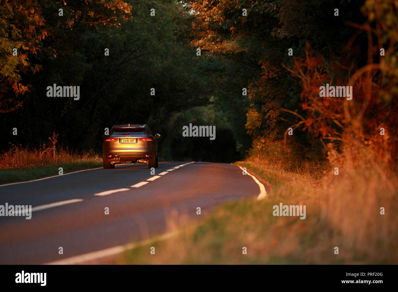 Les voitures qui circulent le long d'une route de campagne dans les Cotswolds. Un très faible réglage soleil fait des bassins de lumière contre l'ombre plus foncée de la route derrière. Banque D'Images