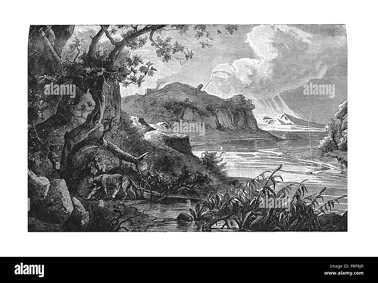 Dessin original d'une scène avec Romulus et Remus. Publié dans histoire illustrée des grandes nations : à partir de la première date de la prés Banque D'Images