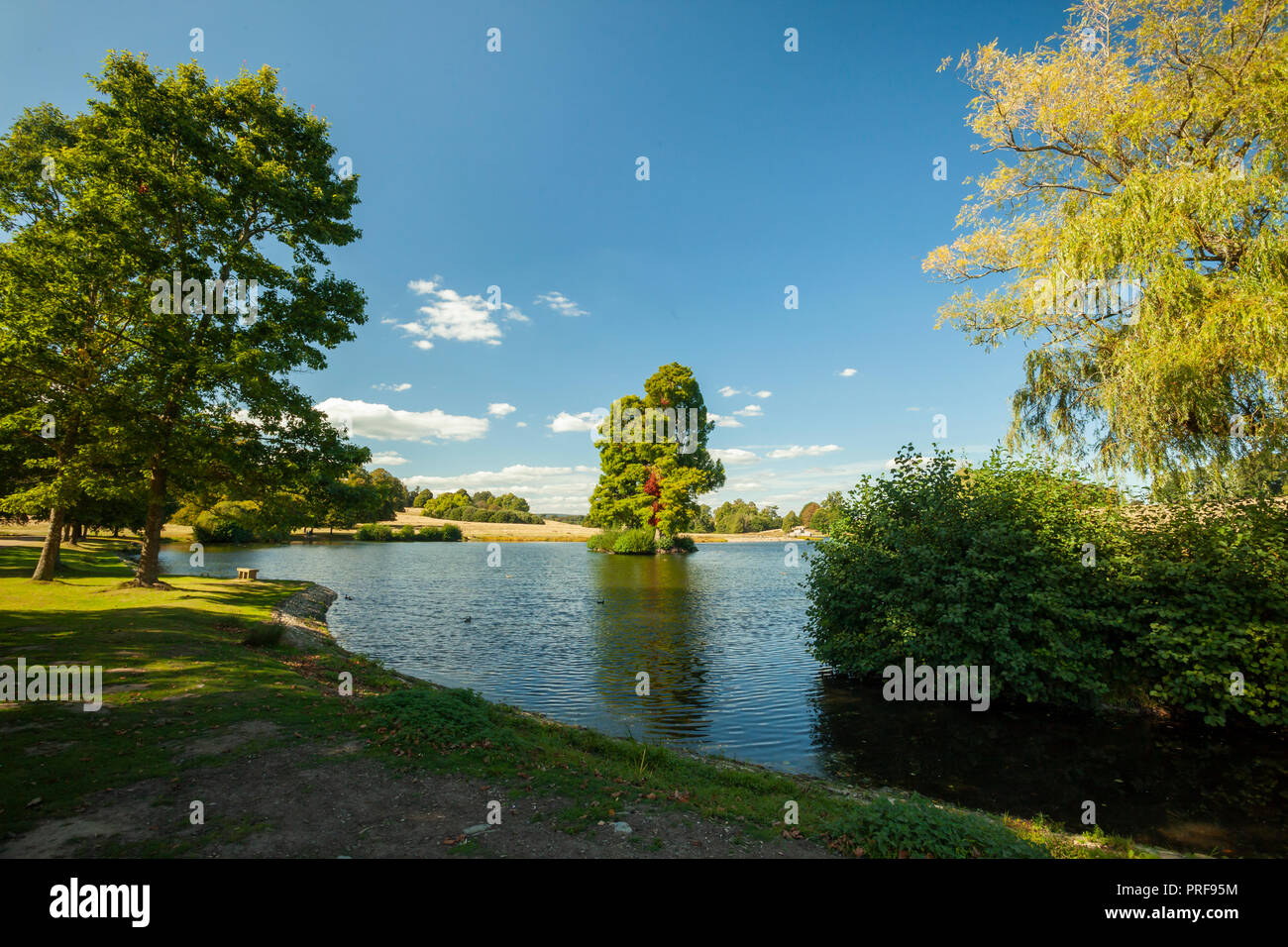 Petworth Park, West Sussex, Angleterre. Banque D'Images