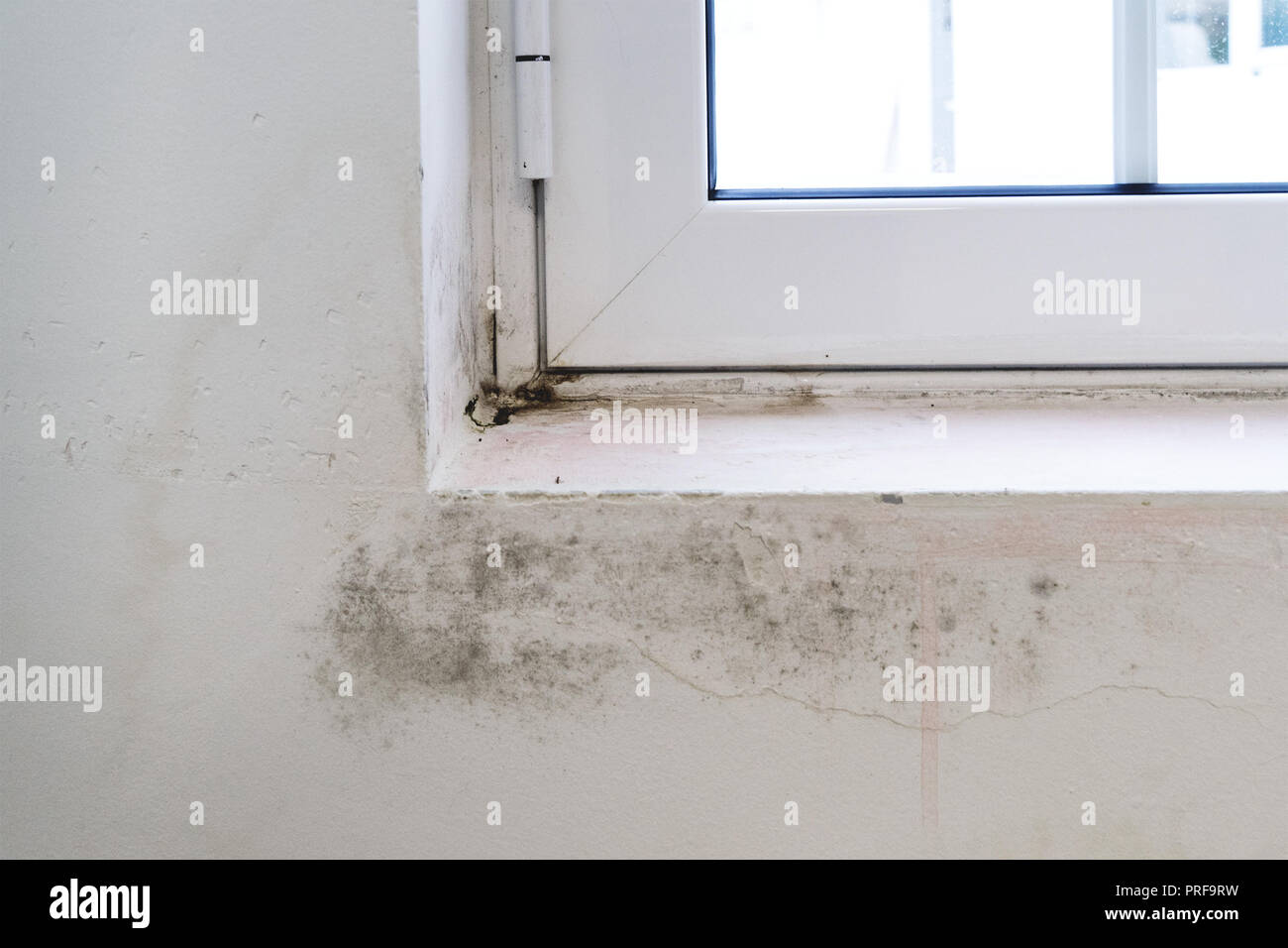 Moule noir sur blanc appui de fenêtre et le mur. Le manque de ventilation,  l'humidité, la condensation sur les murs champignon cause Photo Stock -  Alamy