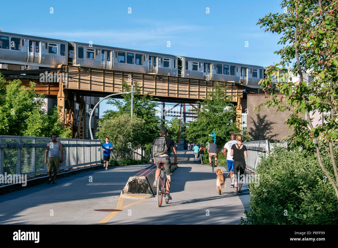 Le 606, ancienne ligne de train surélevé, voie verte pour les piétons et les cyclistes depuis 2015, Bloomingdale Trail, Wicker Park, Chicago, Illinois, États-Unis Banque D'Images