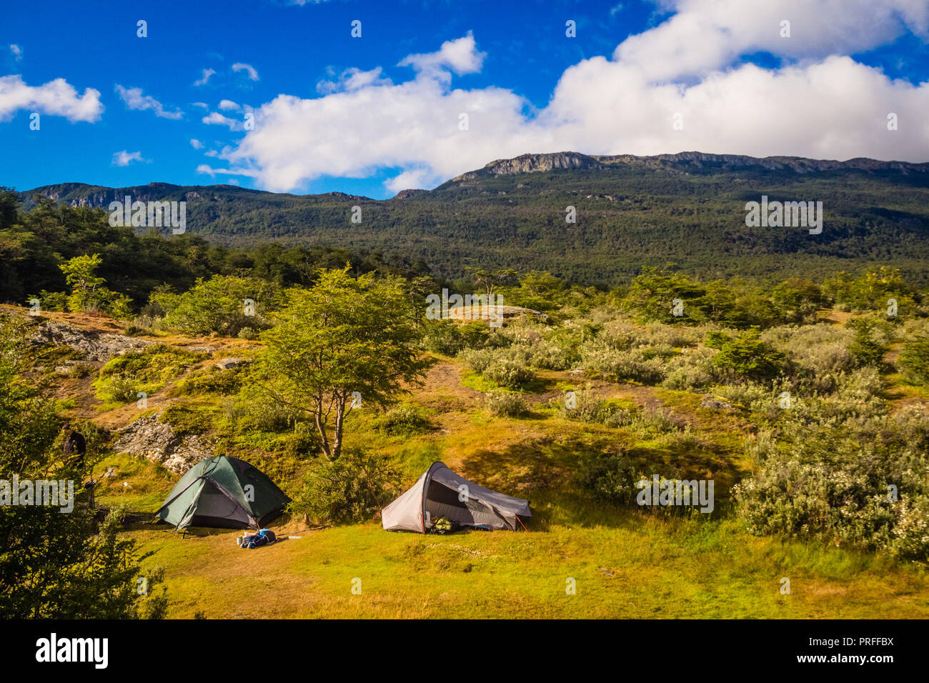 Green tente de camping près d'un lac en Patagonie. Parc National Terre de  Feu, Ushuaia. Journée ensoleillée Photo Stock - Alamy