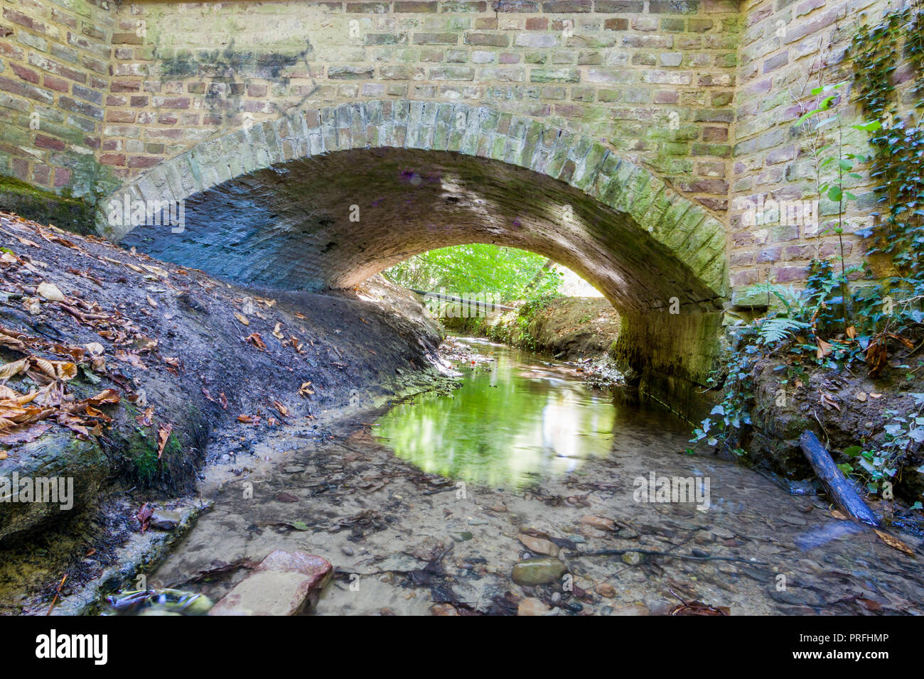 Petite rivière au milieu de la dans Kelmonderbos avec un pont de pierre à Beek Sud du Limbourg au Pays-Bas Hollande Banque D'Images