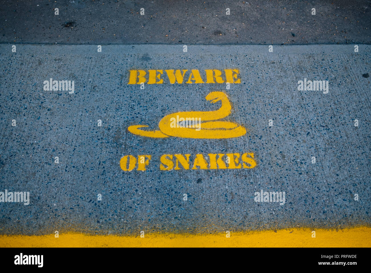 Méfiez-vous des serpents peintes sur le bitume en Australie Banque D'Images