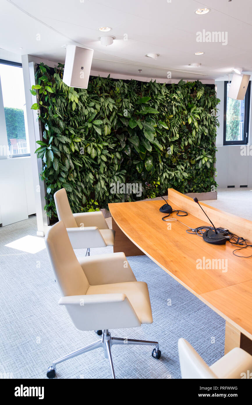 Vivre vert jardin vertical, mur à l'intérieur de fleurs et de plantes sous éclairage artificiel en réunion à la salle, immeuble de bureaux modernes Banque D'Images