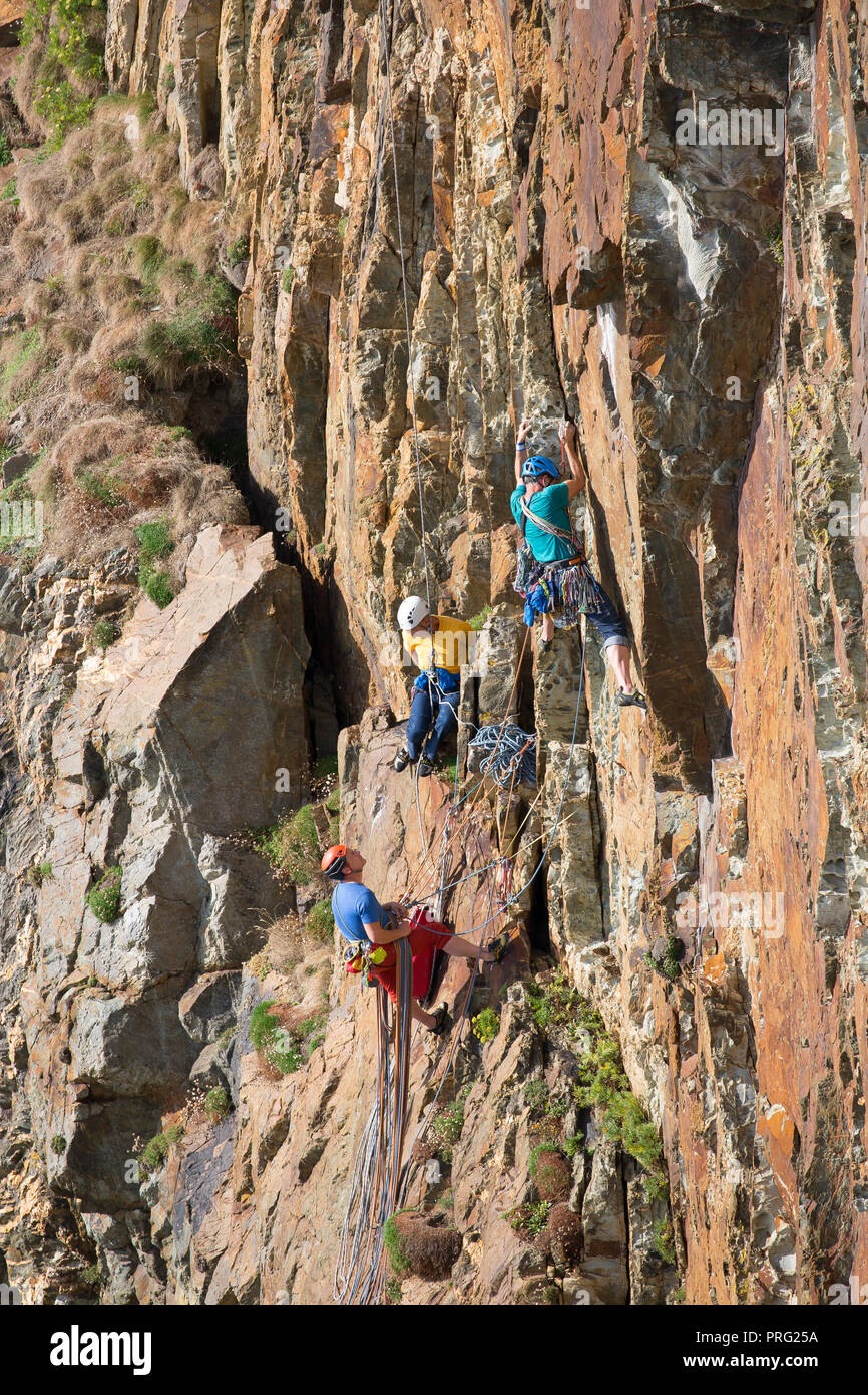 Portrait capture, trois hommes bénéficiant de l'activité défi sport extrême : la descente en rappel et l'escalade sur rocher à South Stack Cliffs, Anglesey, au Royaume-Uni. Banque D'Images