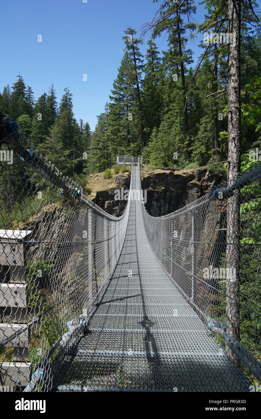 Suspension d'Elk Falls Bridge, l'île de Vancouver, Canada Banque D'Images