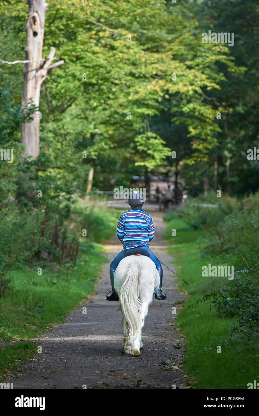 Une femme sur son cheval sur un chemin à Sherrardspark bois, une réserve naturelle locale à Welwyn Garden City, Angleterre. Banque D'Images