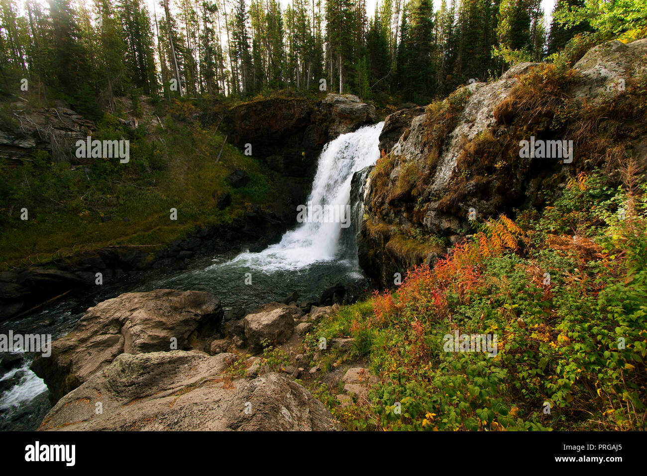 Moose Falls sur la langouste Creek dans le Parc National de Yellowstone. Banque D'Images