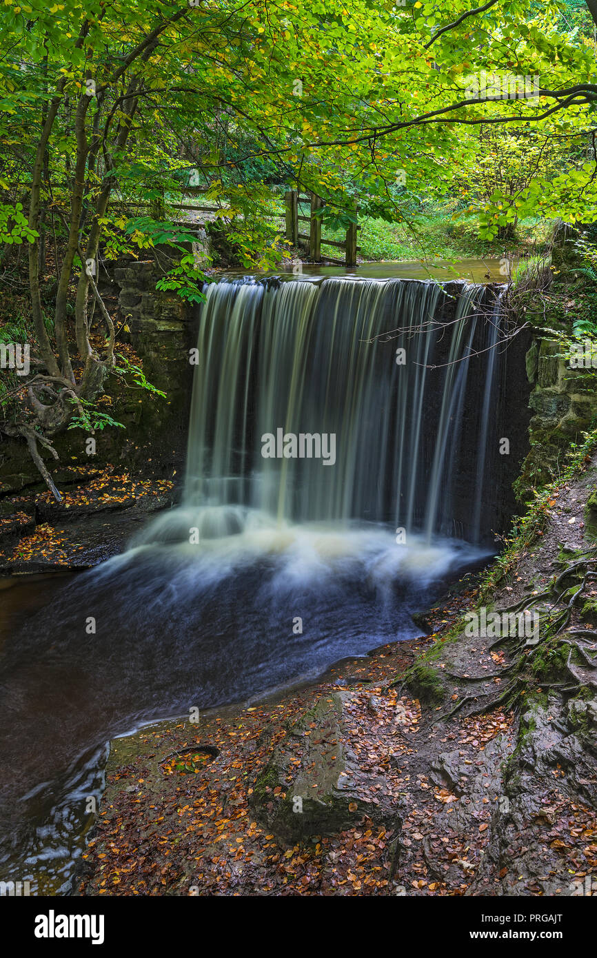 Weir sur la rivière Clywedog dans le Plas Power Bois sur la piste de Clywedog en automne près de Wrexham North Wales UK Novembre 2267 Banque D'Images