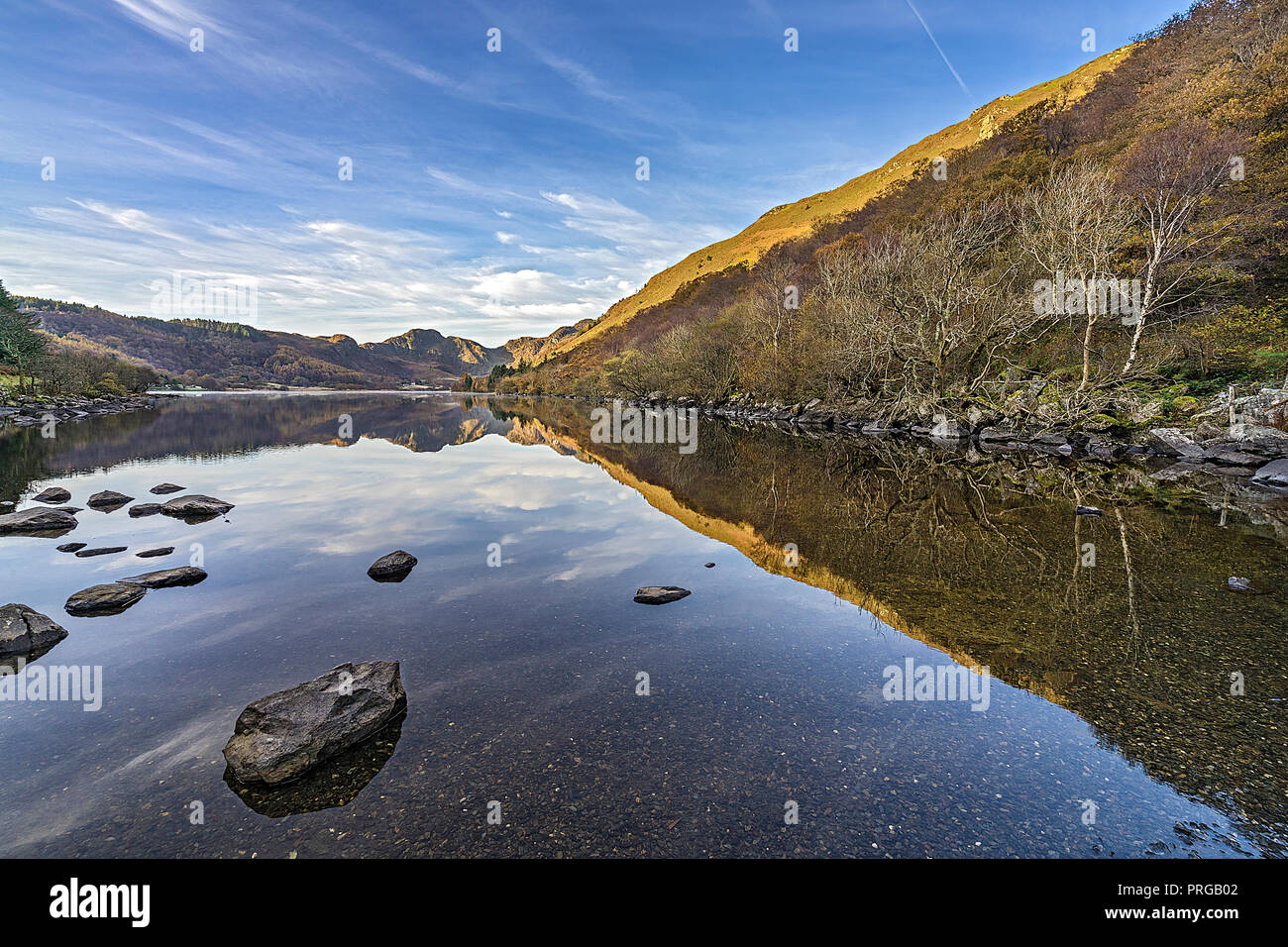 Réflexions à Llyn Crafnant bord de la forêt Gwydir regardant sud-ouest avec Craig Wen montagne en arrière-plan près de Llanwrst Snowdonia Nord-pays de Galles Royaume-Uni Banque D'Images