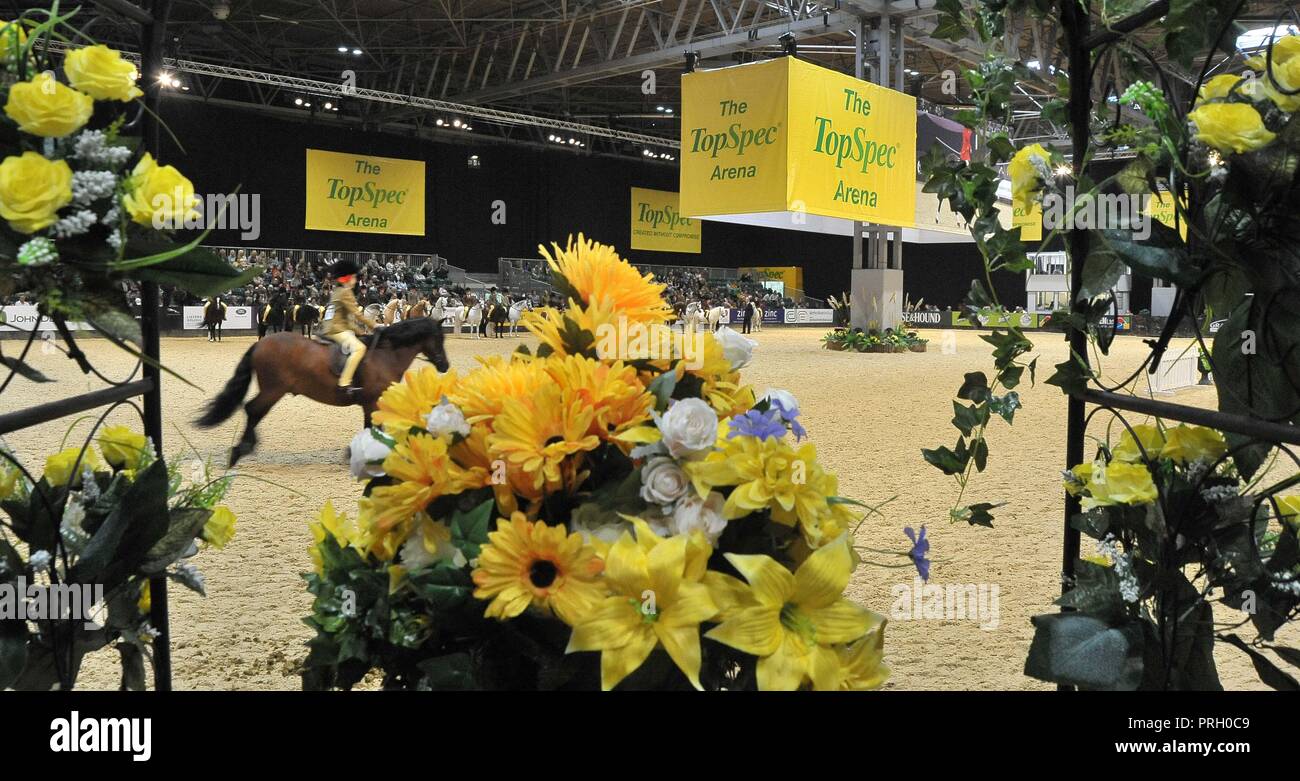 Birmingham, UK. 3 octobre, 2018. L'Topspec arena. Cheval de l'année montrent (HOYS). National Exhibition Centre (NEC). Birmingham. UK. 03/10/2018. Credit : Sport en images/Alamy Live News Banque D'Images