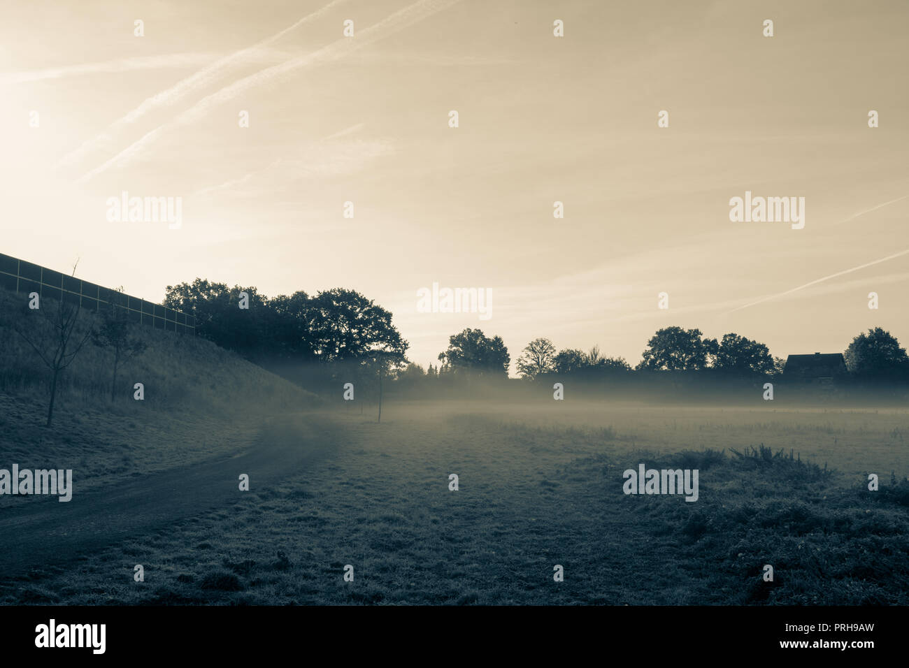 Brouillard mystérieux tôt le matin. Emplacement : Allemagne, Rhénanie du Nord - Westphalie, Borken Banque D'Images Brouillard mystérieux tôt le matin. Emplacement : Allemagne, Rhénanie du Nord - Westphalie, Borken Banque D'Images