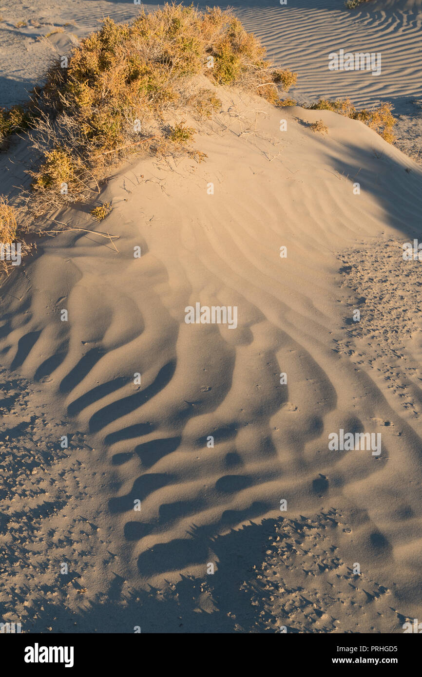 Rides de sable, Mesquite Sand Dunes, Death Valley National Park, Californie Banque D'Images