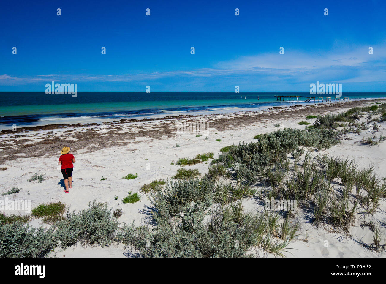 Plage de sable blanc sur la côte de l'océan au sud de l'Australie Occidentale Eucla Banque D'Images