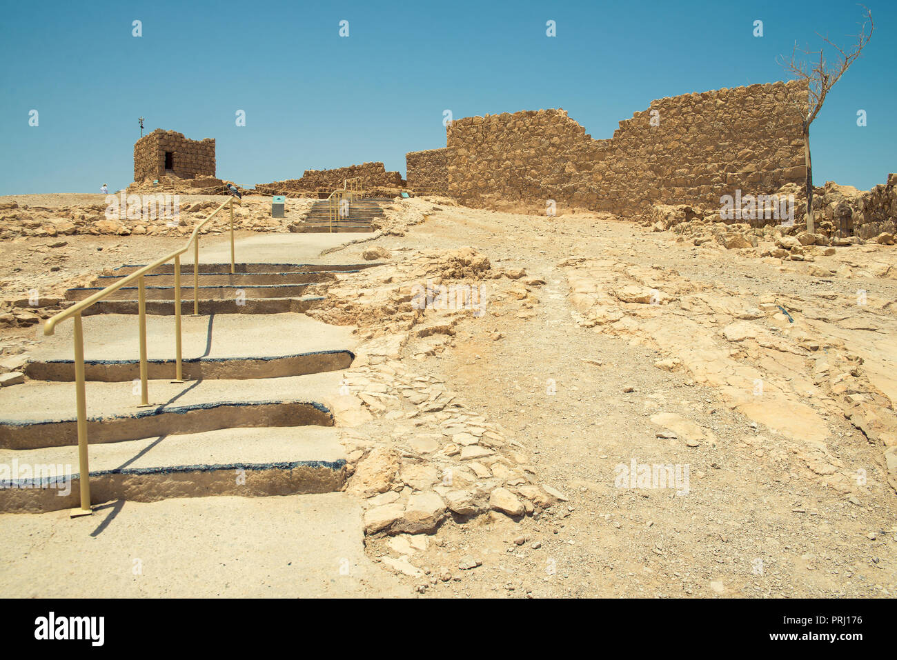 Masada en Israël Banque D'Images