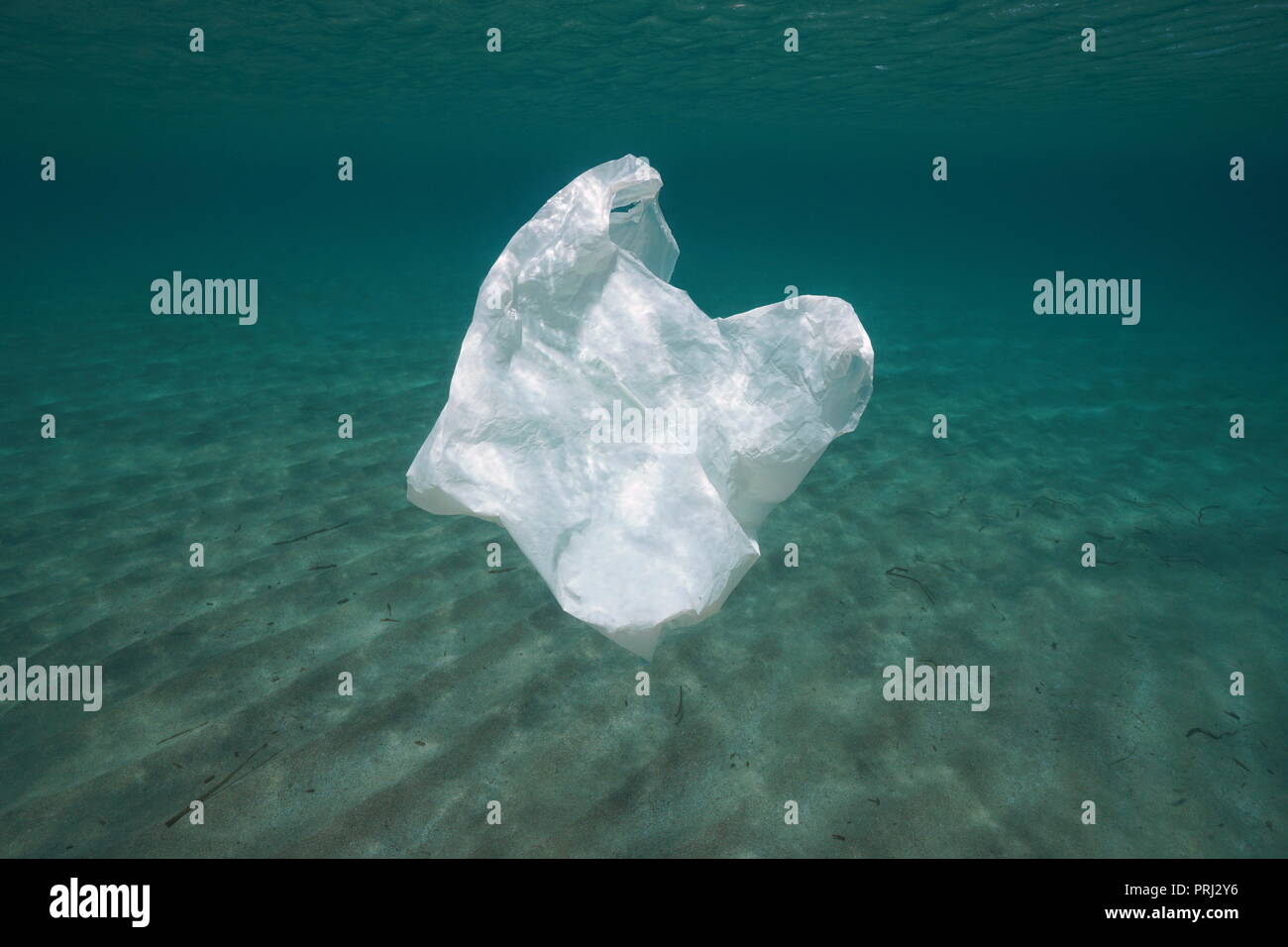 La pollution en plastique sous l'eau, un sac à la dérive dans l'océan Banque D'Images