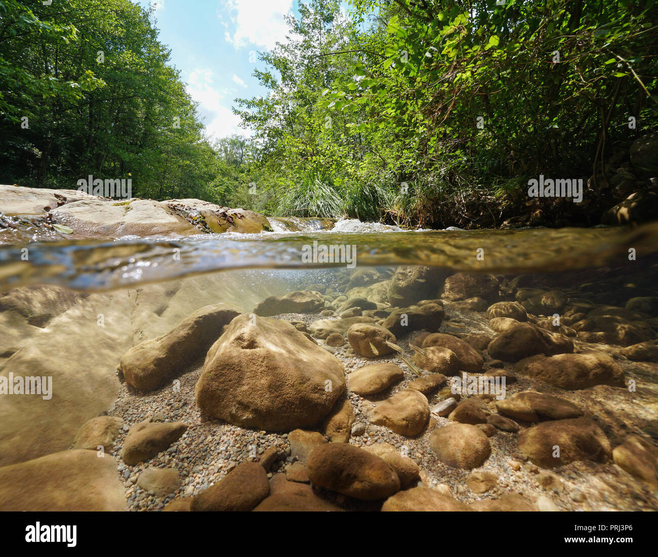 Le ruisseau sauvage avec de la végétation verte et les roches avec des poissons sous l'eau, vue fractionnée au-dessus et au-dessous de la surface de l'eau, la Muga, Gérone, Catalogne, Espagne Banque D'Images