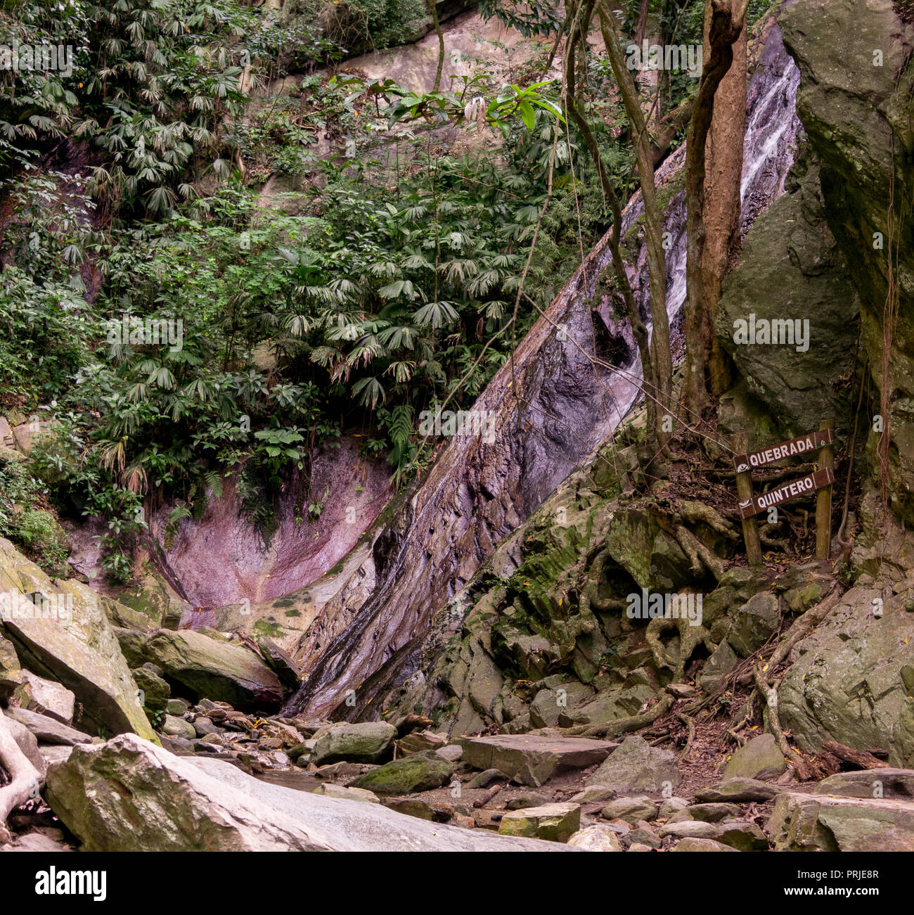 QUINTERO RAVIN CHUTE D'EAU DE MONTAGNE AVILA WARAIRA REPANO CARACAS VENEZUELA Banque D'Images
