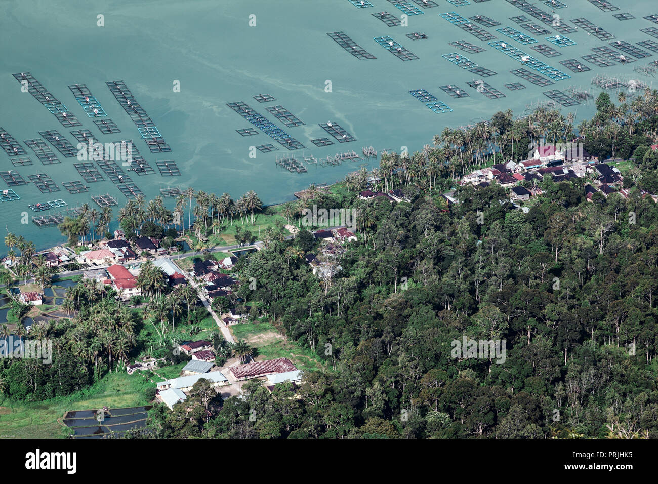 Pisciculture sur les rives du lac Maninjau, Sumatra, Indonésie Banque D'Images