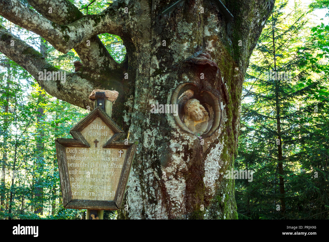 Seigneur de Mayence, le Christ en pierre figure, dans un bois de saule, près de Gütenbach, Forêt-Noire, Bade-Wurtemberg, Allemagne Banque D'Images