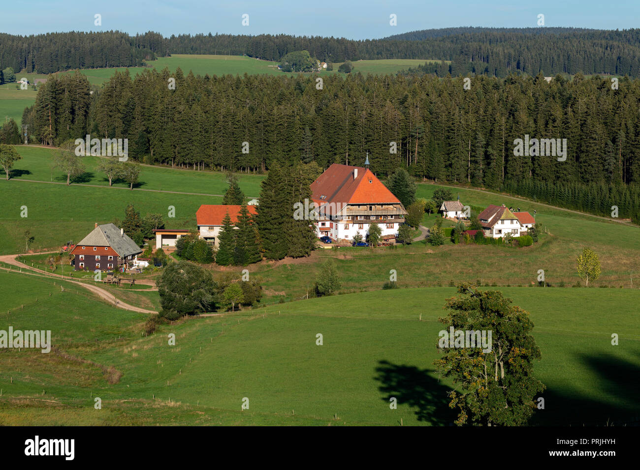 Unterfallengrundhof, maison de la forêt-noire, série de télévision SWR Die abatteurs, près de Gütenbach, Forêt-Noire, Bade-Wurtemberg Banque D'Images