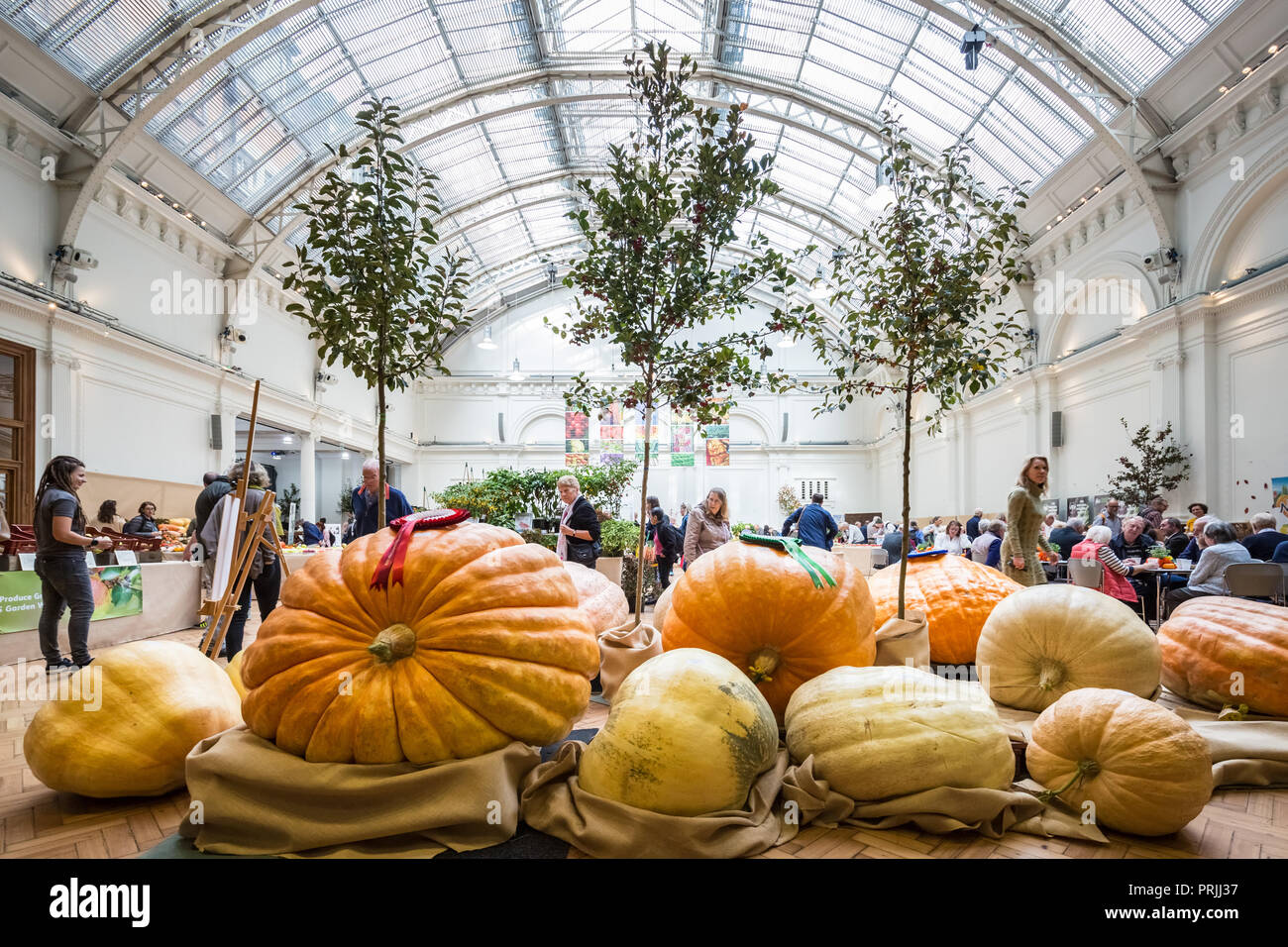Londres, Royaume-Uni. 2ème Oct 2018. RHS Harvest Festival Show. Crédit : Guy Josse/Alamy Live News Banque D'Images