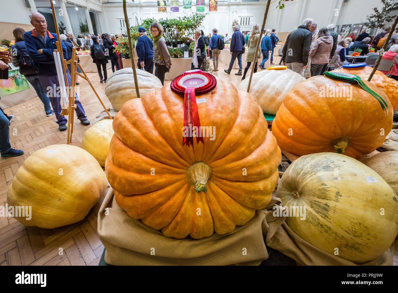 Londres, Royaume-Uni. 2ème Oct 2018. RHS Harvest Festival Show. Crédit : Guy Josse/Alamy Live News Banque D'Images