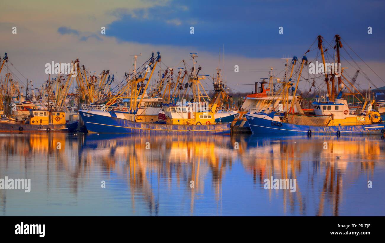 Pêche à Lorient qui accueille l'une des plus grandes flottes de pêche dans les Pays-Bas. La pêche se concentre essentiellement sur la capture de moules, oyste Banque D'Images