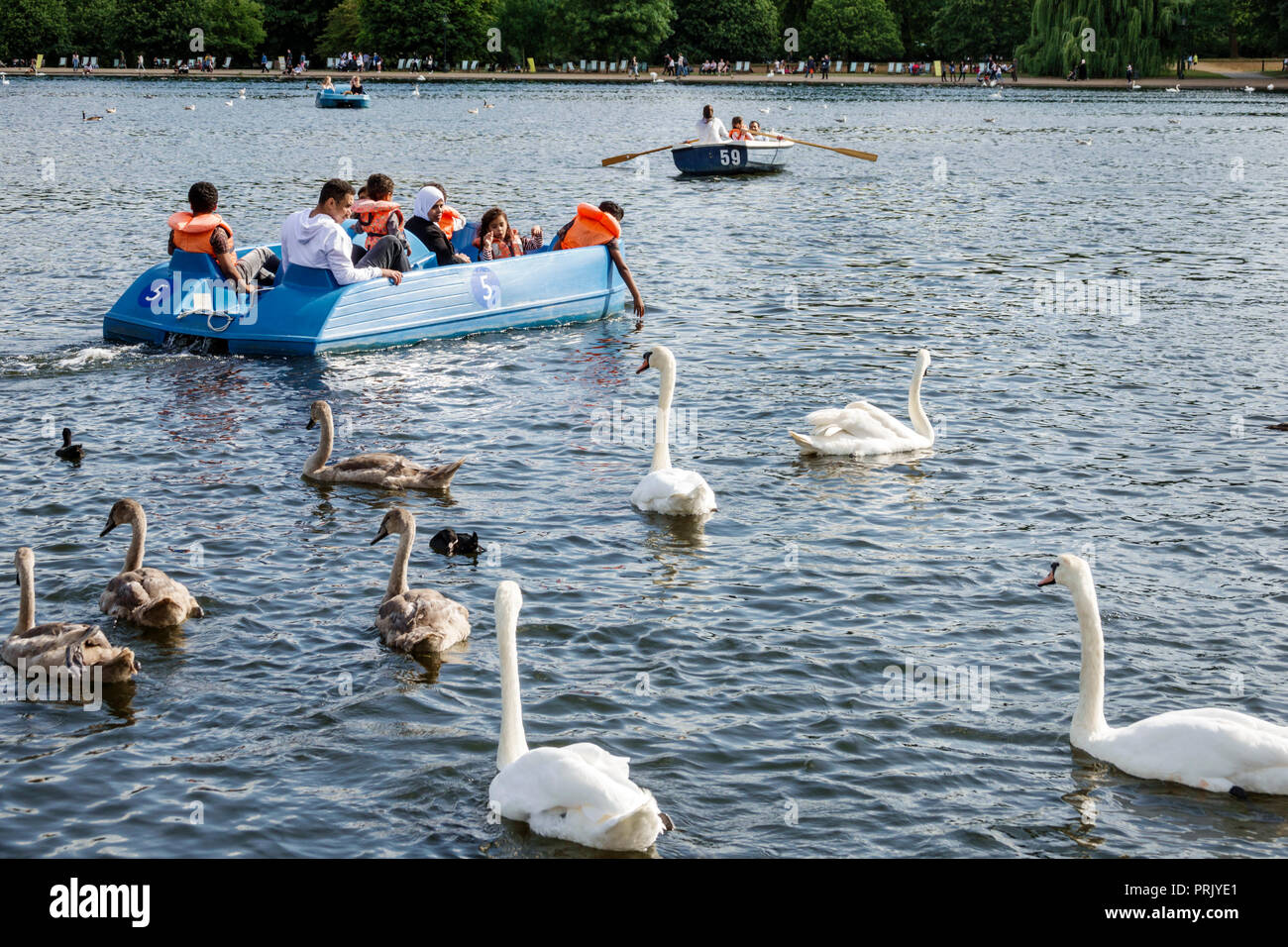 Londres Angleterre, Royaume-Uni Royal Parks, Hyde Park, espace vert, la Serpentine, lac récréatif, pédalo, Asiatiques homme hommes, femme femme femmes, fille gir Banque D'Images