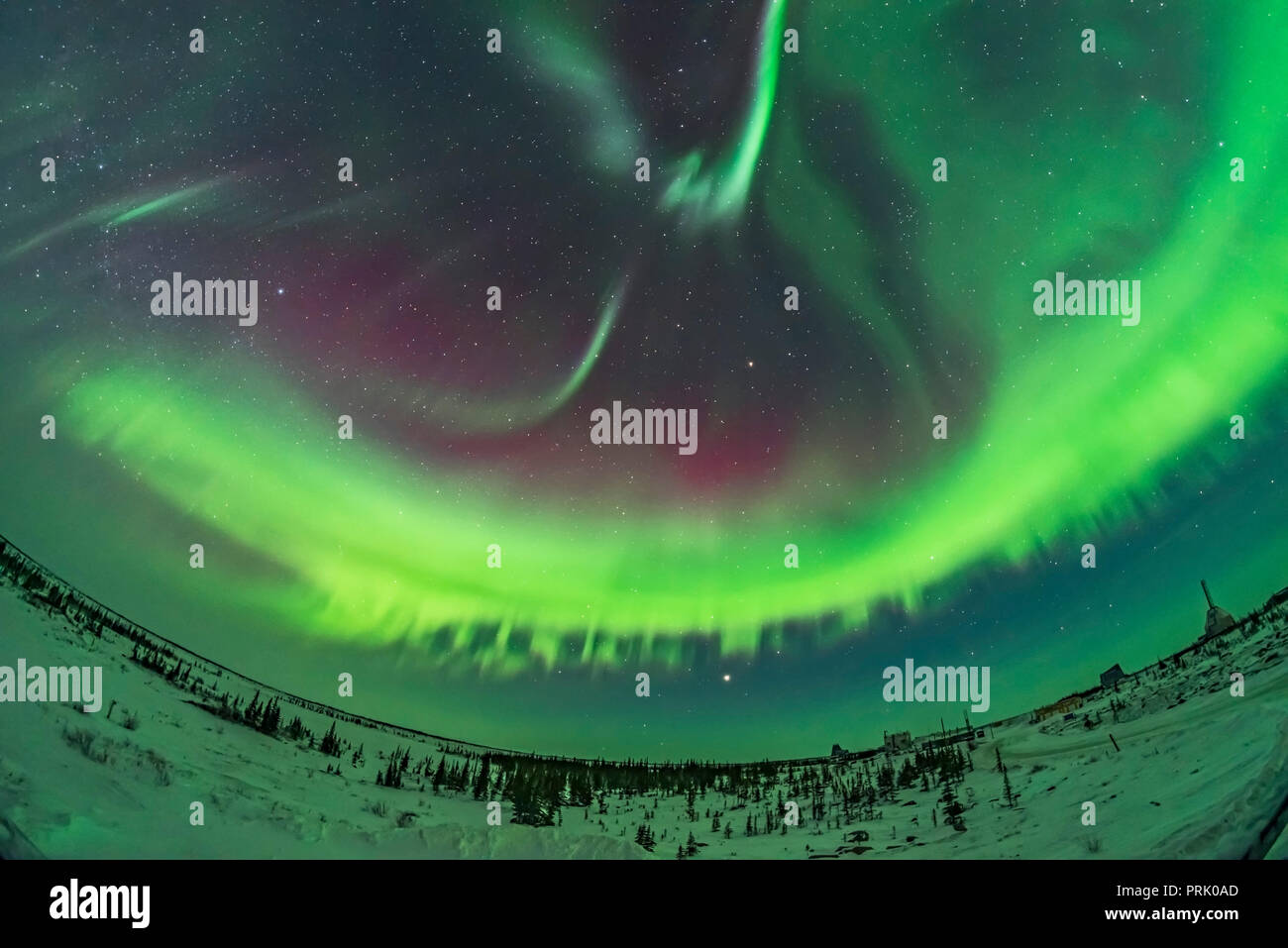 Un affichage aurora sky dans les heures tôt le matin (entre 3 et 4h00) le 10 février 2018, tiré du pont supérieur du Churchill Northern Stu Banque D'Images