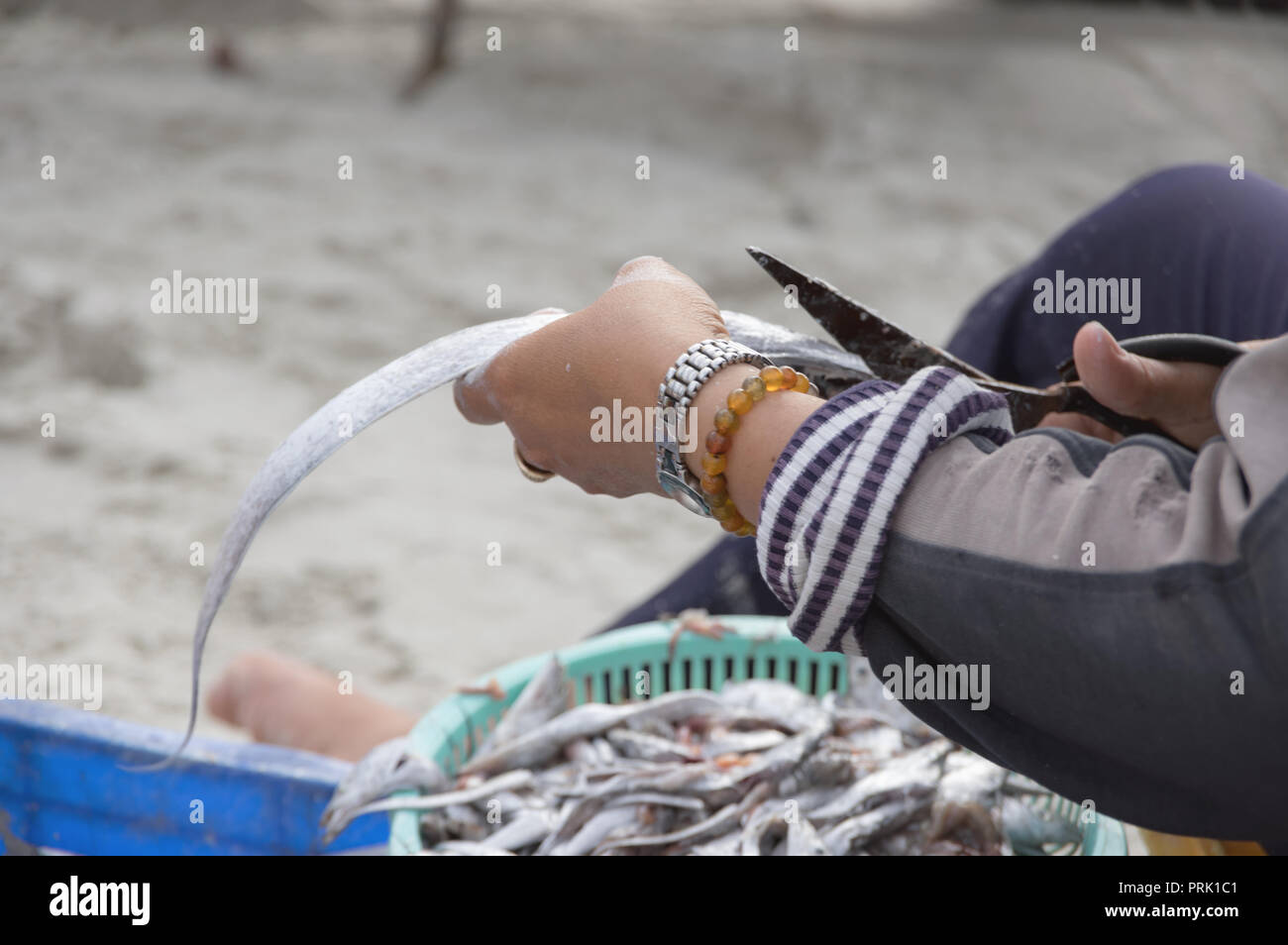 Le village de pêcheurs, la vie des pêcheurs dans le village de pêcheurs au sujet des personnes, femmes, enfant, fruits de mer, de la traditionnelle photo utilisés en publicité, design, Banque D'Images