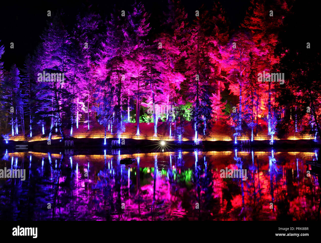 Les arbres se reflètent dans le Loch Dunmore au festival du son et de la lumière de la Forêt enchantée à Faskally Wood à Pitlochry. Banque D'Images