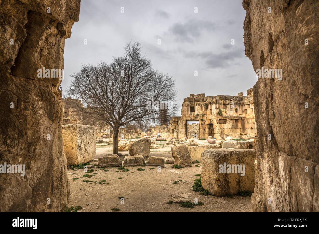 Spectaculaire vue sur les ruines de Rome au Liban, Balbek site du patrimoine de l'Unesco Banque D'Images